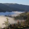 früh am Morgen im Yellowstone NP